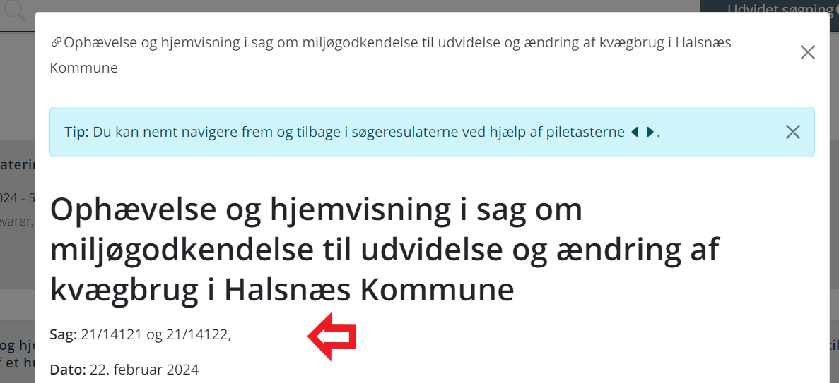 hurtigvisning